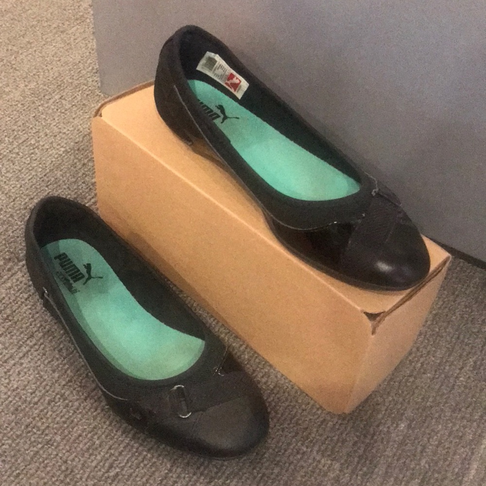Puma Flats